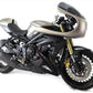 Belly Pan Lower TRIUMPH STREET TRIPLE, R, R Low, RS, S, MOTO2,