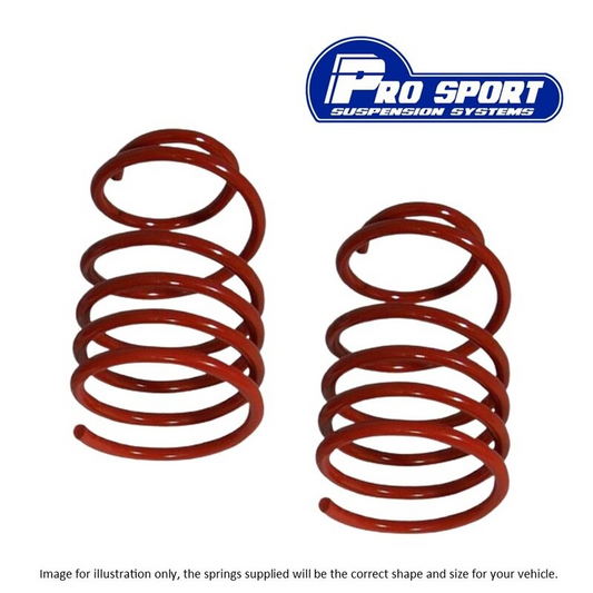 Seat Inca 1.4 1.6 1.9 40mm Lowering Spring Kit Prosport