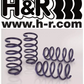 Ford Focus ST 08-2010 Styling Package - H&R 25/25mm Lowering Springs + Zunsport