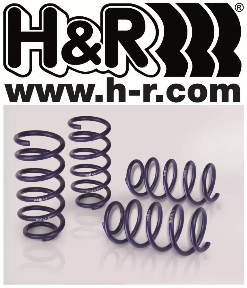 Ford Focus ST 08-2010 Styling Package - H&R 25/25mm Lowering Springs + Zunsport